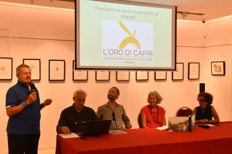 Anacapri città dell’olio inizia l’estate all’insegna della Merenda nell’Oliveta