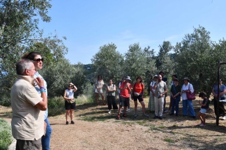 Anacapri città dell’olio inizia l’estate all’insegna della Merenda nell’Oliveta