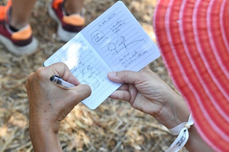 Anacapri città dell’olio inizia l’estate all’insegna della Merenda nell’Oliveta