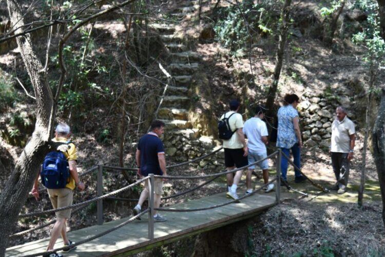 Anacapri città dell’olio inizia l’estate all’insegna della Merenda nell’Oliveta