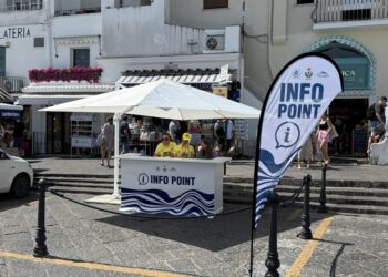 Basta caos a Marina Grande, parte progetto accoglienza turistica