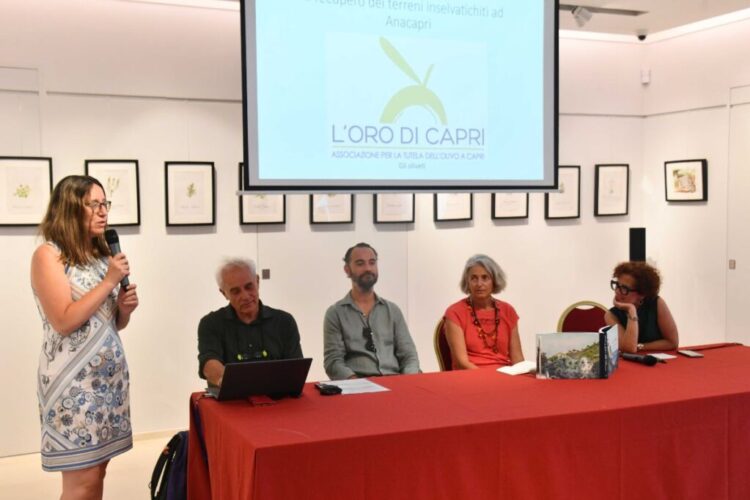 Anacapri città dell’olio inizia l’estate all’insegna della Merenda nell’Oliveta