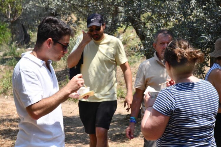 Anacapri città dell’olio inizia l’estate all’insegna della Merenda nell’Oliveta