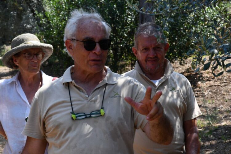 Anacapri città dell’olio inizia l’estate all’insegna della Merenda nell’Oliveta