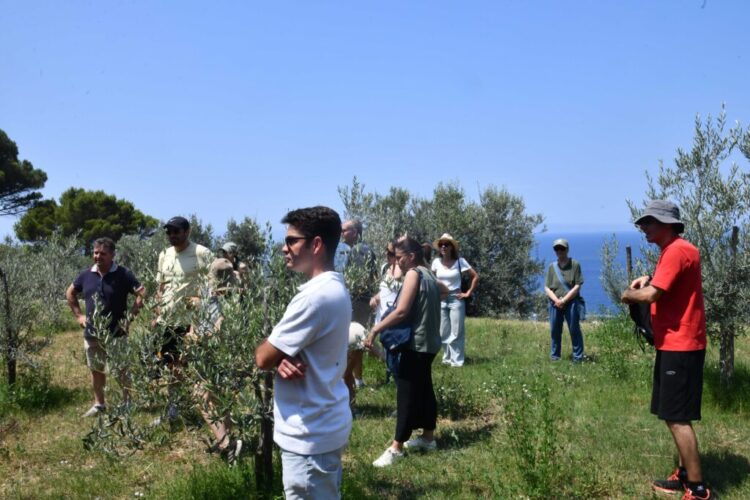 Anacapri città dell’olio inizia l’estate all’insegna della Merenda nell’Oliveta