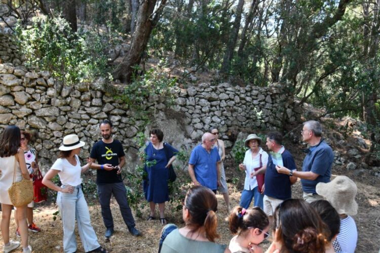 Anacapri città dell’olio inizia l’estate all’insegna della Merenda nell’Oliveta