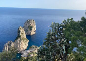 La vera Capri: vip e portafogli restituiti