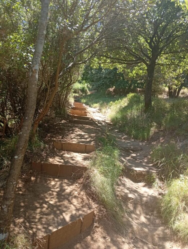 Anacapri, recuperato antico sentiero dal Monte Solaro alla Croce di Cetrella (Gallery)