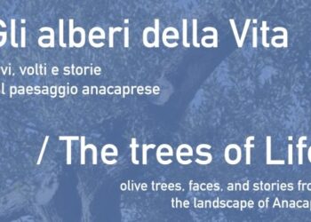 GLI ALBERI DELLA VITA: olivi, volti e storie dal paesaggio anacaprese video installazione di Luciano Romano consulenza antropologica di Helga Sanità