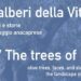 GLI ALBERI DELLA VITA: olivi, volti e storie dal paesaggio anacaprese video installazione di Luciano Romano consulenza antropologica di Helga Sanità
