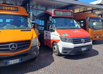 Servizio bus speciale per la festa di San Lorenzo al Porto