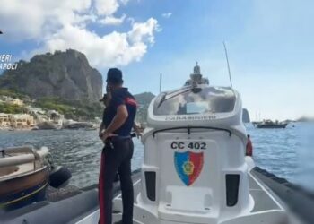 CAPRI: Comportamenti scorretti in navigazione, i controlli dei Carabinieri in mare