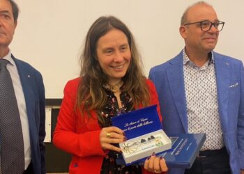 Cercasi a Capri funzionari, intanto arriva il carrello per disabili