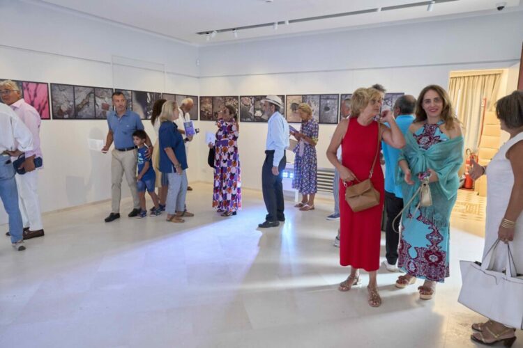 Mura e Ombre: fino al 29 Agosto la mostra di Riccardo Esposito alla Fondazione SMZ