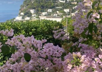 Turismo Capri: numeri superiori, incassi inferiori