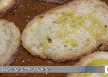 TGR: L’Olio Profuma di Capri (Video)