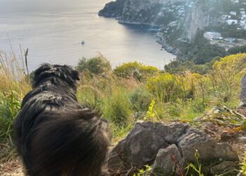 Recuperare i sentieri di Capri come patrimonio pubblico