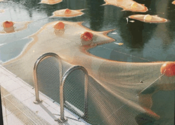 La Storia Siamo noi. Inaugura il Festival di Fotografia alla Certosa di Capri. Bravo Gianfranco Morgano che da 22 anni investe sui Giovani Talenti.