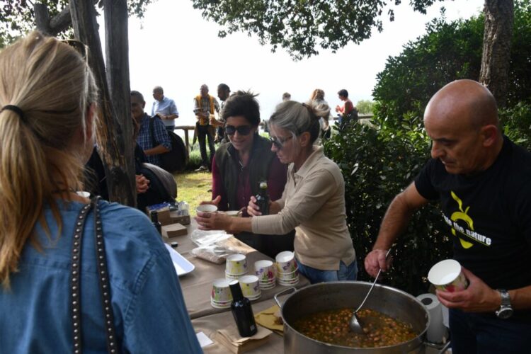 Anacapri coltiva la pace: dall’olivo simbolo di rinascita alla Camminata tra gli Ulivi