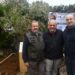 Anacapri coltiva la pace: dall’olivo simbolo di rinascita alla Camminata tra gli Ulivi