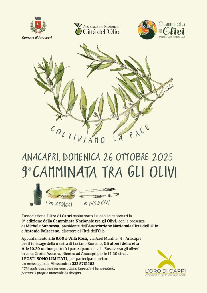 L’Oro di Capri e Città dell’Olio annunciano la 9° edizione della Camminata tra gli olivi, domenica 26 Ottobre 2025