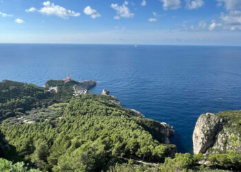 L’Oro di Capri e Città dell’Olio annunciano la 9° edizione della Camminata tra gli olivi, domenica 26 Ottobre 2025