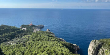 L’Oro di Capri e Città dell’Olio annunciano la 9° edizione della Camminata tra gli olivi, domenica 26 Ottobre 2025