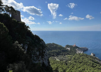 Anacapri coltiva la pace: dal convegno sugli olivi alla Camminata tra gli ulivi, l’isola celebra l’“Ulivo della Pace”