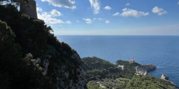 Anacapri coltiva la pace: dal convegno sugli olivi alla Camminata tra gli ulivi, l’isola celebra l’“Ulivo della Pace”