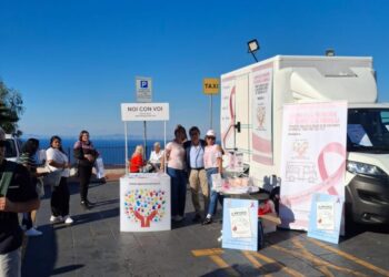 I numeri dei Camper della prevenzione
