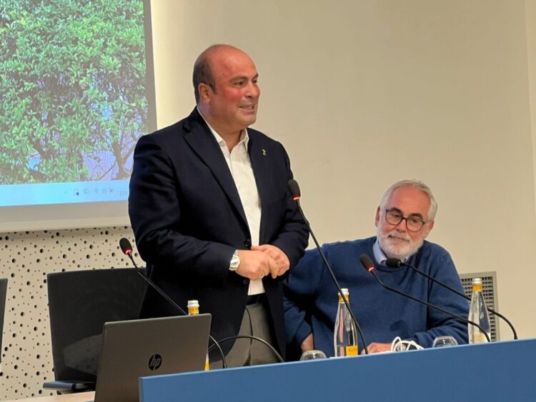 Anacapri coltiva la pace: dall’olivo simbolo di rinascita alla Camminata tra gli Ulivi