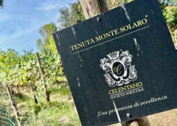 Tra vigne, profumi e l’azzurro di Capri