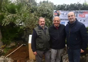 L’ulivo della pace piantato ad Anacapri