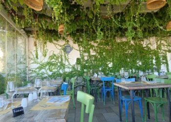 Il meraviglioso territorio dell’isola di Capri e il suo olio sulla tavola del Columbus