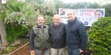 TGR: Gli ulivi di Anacapri simbolo di pace e rinascita (Video)