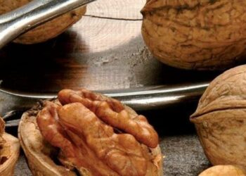 Il piano della Regione Campania in sinergia con i comuni di Vico Equense e Sant’Agnello e la Condotta Slow Food Costiera Sorrentina e isola di Capri per il rilancio della piantumazione delle noci