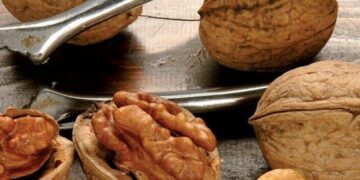 Il piano della Regione Campania in sinergia con i comuni di Vico Equense e Sant’Agnello e la Condotta Slow Food Costiera Sorrentina e isola di Capri per il rilancio della piantumazione delle noci