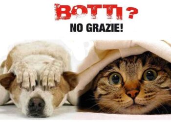 Anacapri: Non spaventiamo i nostri amici a 4 zampe, BOTTI? NO GRAZIE!