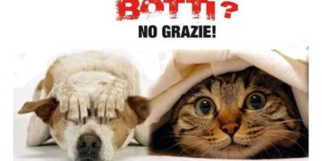 Anacapri: Non spaventiamo i nostri amici a 4 zampe, BOTTI? NO GRAZIE!