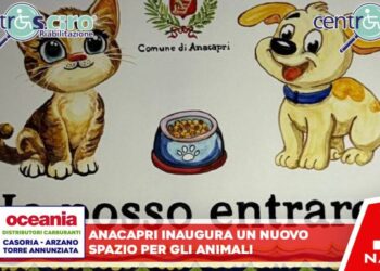 Anacapri inaugura uno spazio per gli animali: un nuovo passo verso una comunità più solidale