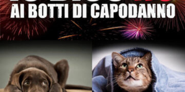 Il sindaco di Capri dice basta ai botti di Capodanno