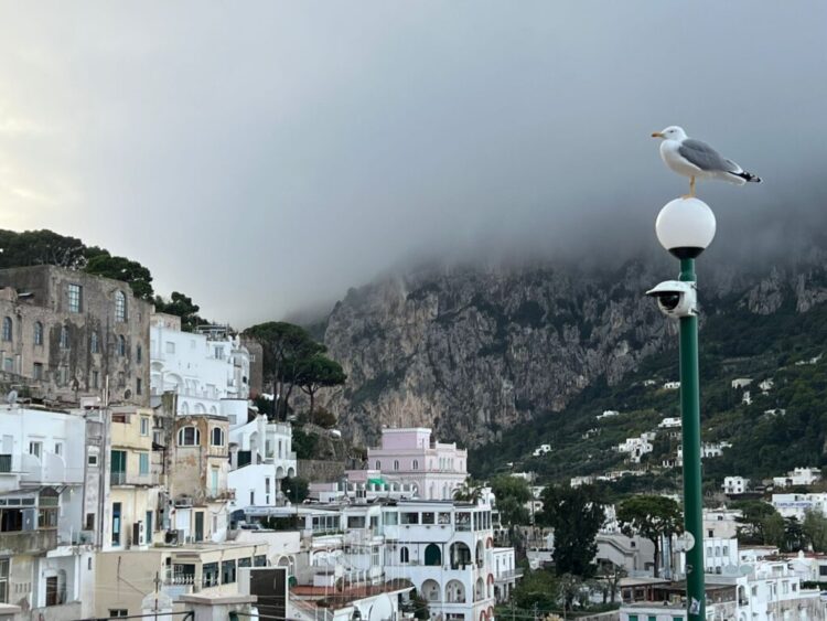 Capri si veste d’inverno (Gallery)