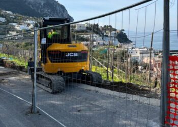 Al via a Capri il restyling, intanto ci si organizza per il referendum