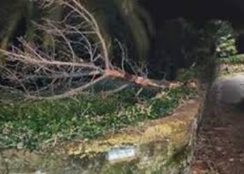 Tempesta di vento si abbatte su Capri e mette a rischio il Carnevale