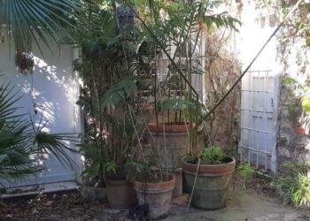 I capresi chiedono i tempi per rivedere Casa Dupuis