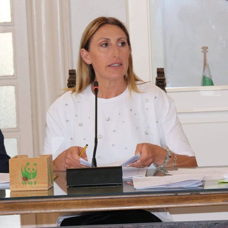 In consiglio a Capri si parlerà del regolamento noleggio veicoli e del Premio Campanile d’oro