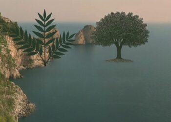 LA VEGETAZIONE DELL’ISOLA DI CAPRI: Passeggiata naturalistica con la Dott.ssa Martina Verga – 21 Marzo ore 11