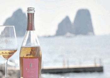 Storie d’impresa «Grandi vini sull’isola azzurra tremila bottiglie di alta qualità»