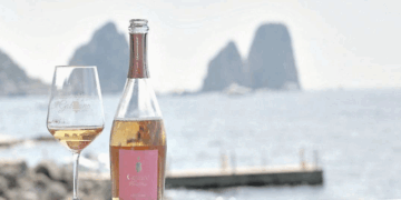 Storie d’impresa «Grandi vini sull’isola azzurra tremila bottiglie di alta qualità»