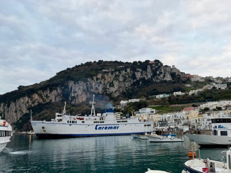 Grande successo alle giornate FAI di Capri: oltre 400 visitatori alla scoperta del parco di Villa Monte San Michele (photogallery)